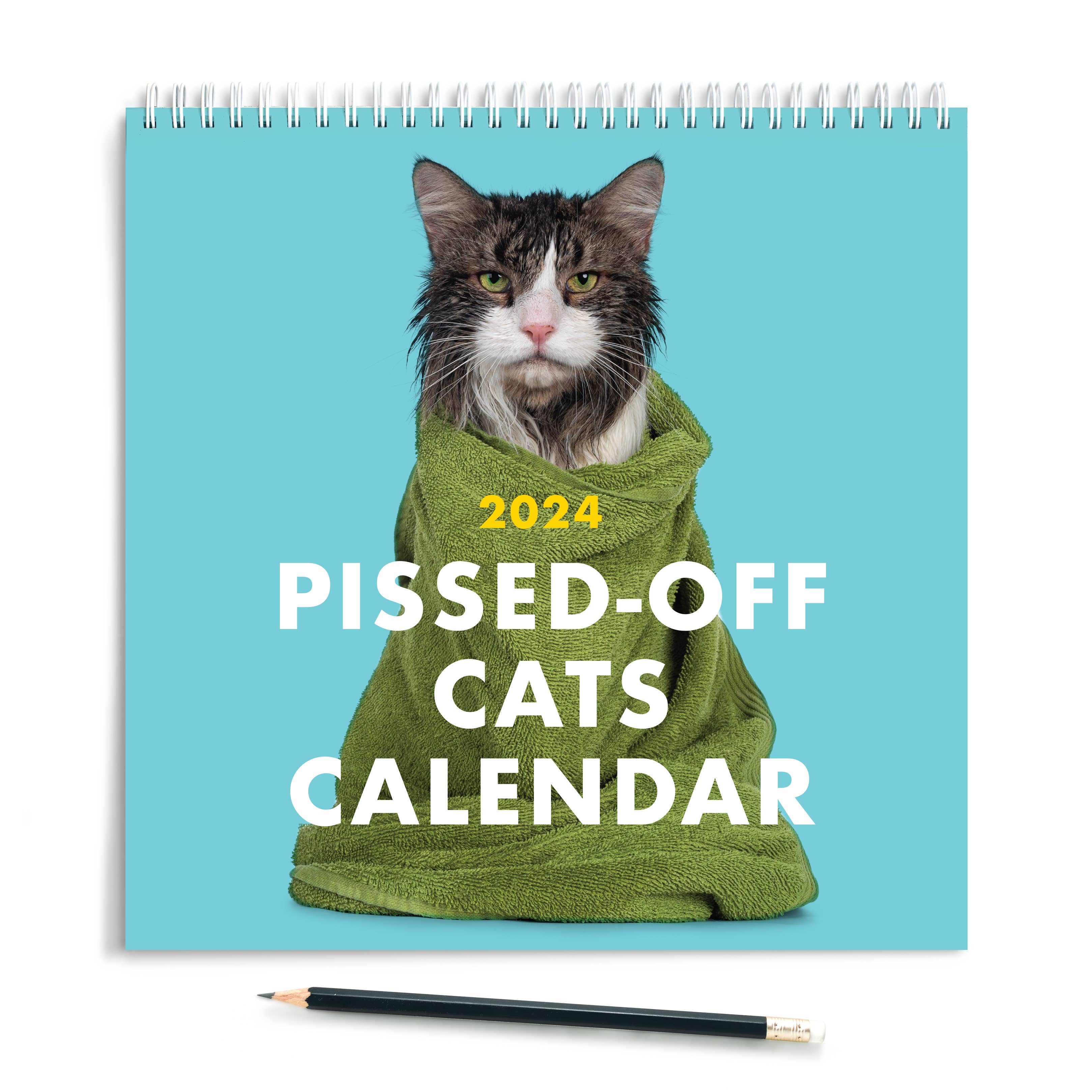 RePop Gifts 2024 Pissedoff Cats Calendar